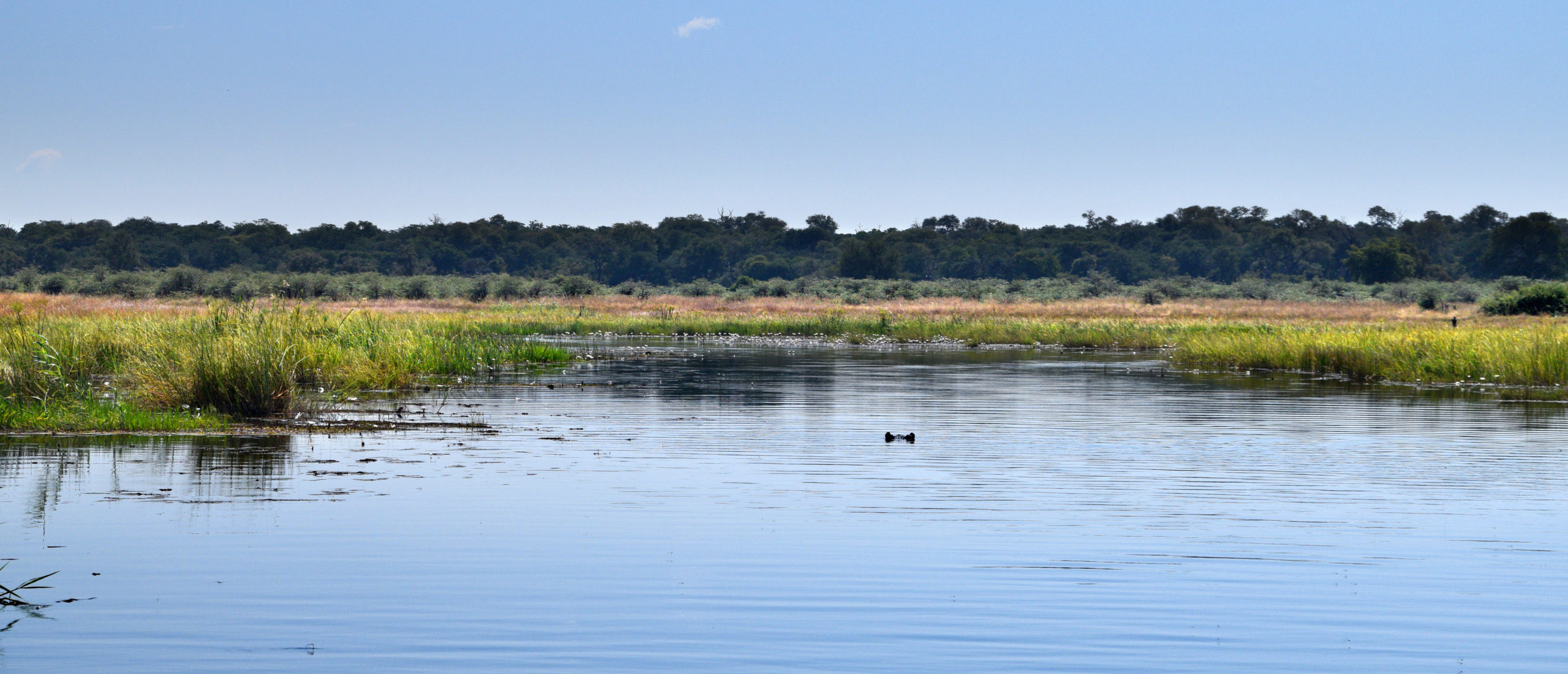 DSC_0413rr_slider
